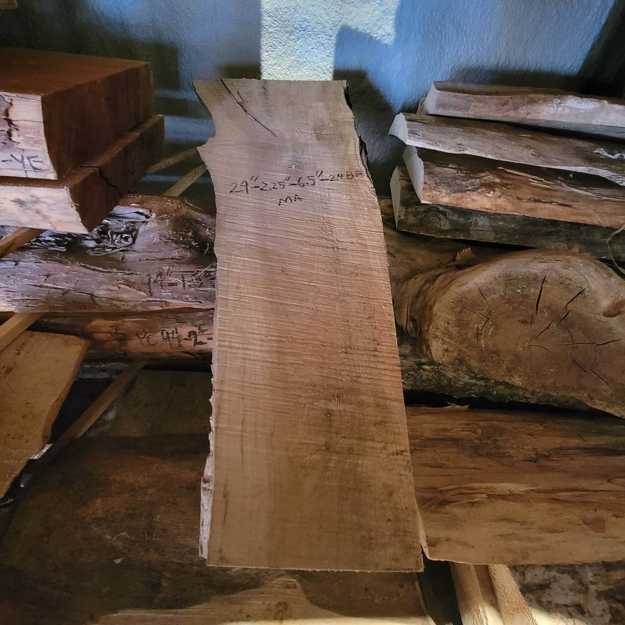 Big Leaf Maple